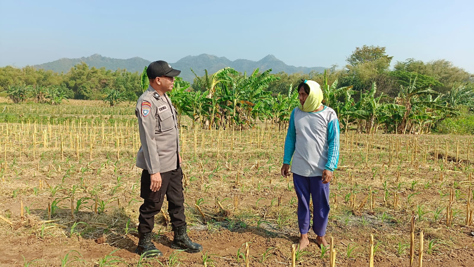 Bhabinkamtibmas Pojok Aktif Dampingi Petani, Dukung Ketahanan Pangan di Kota Kediri
